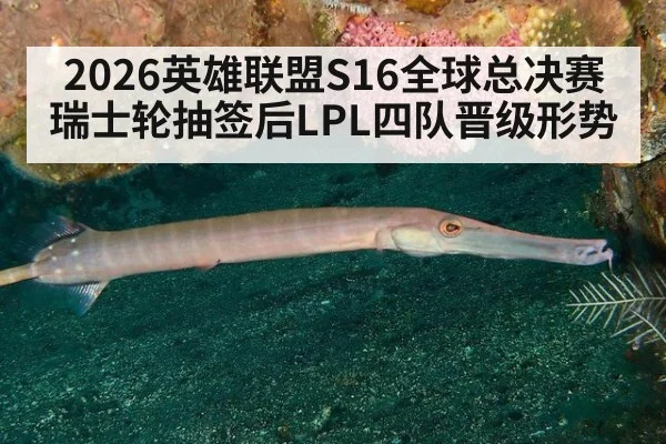 2026英雄联盟S16全球总决赛 瑞士轮抽签后LPL四队晋级形势